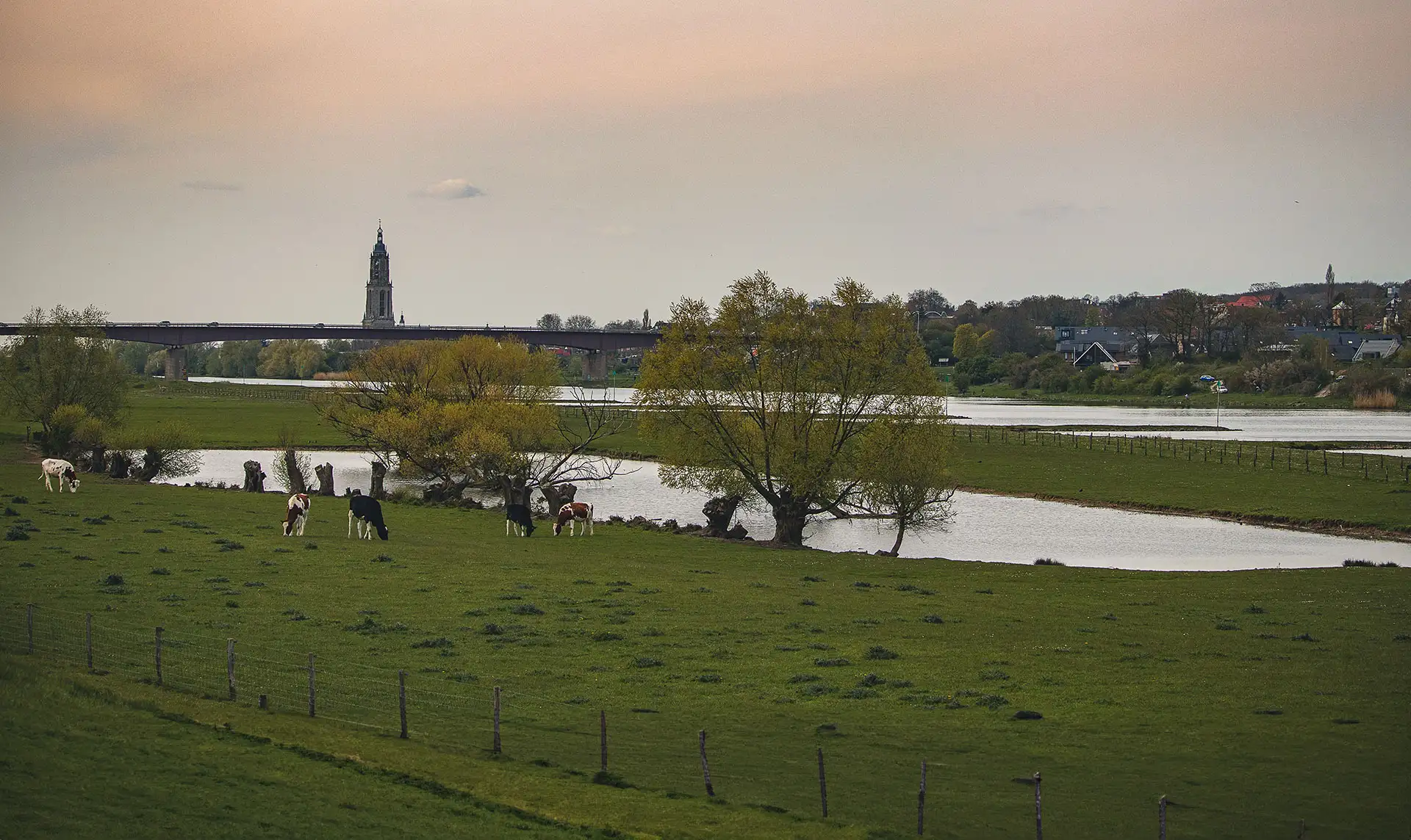 Grondwatermodelstudie naar effecten van grootschalig infiltreren